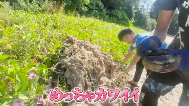 砂に埋まった巨大漁網との格闘