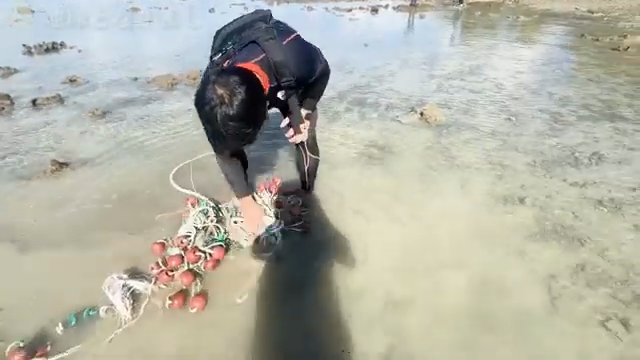 海で網を洗う参加者