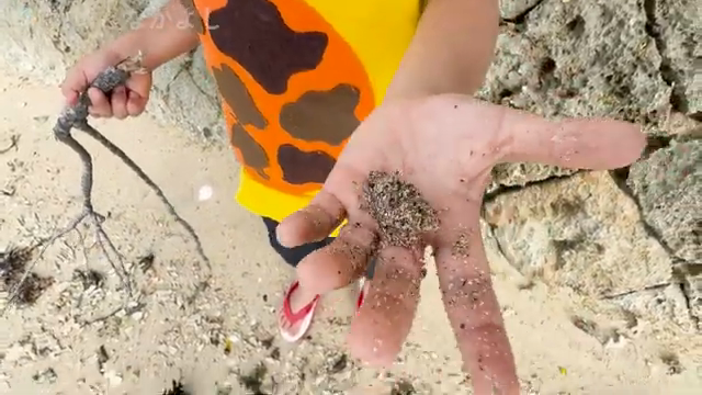 手のひらのマイクロプラスチック